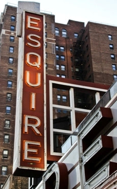 historically important gargantuan electrically animated exteiror chicago esquire theater building facade vertical neon sign