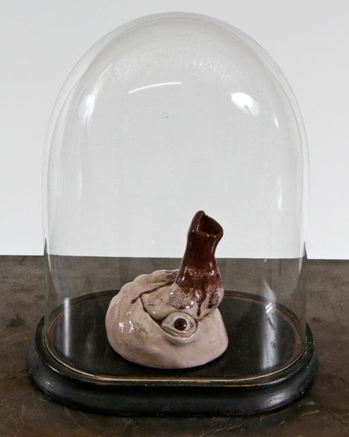 early 20th century intact vintage medical scientific specimen bell jar with wood base