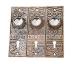 pair of original american 19th century copper-plated decorative cast iron screwless spindle doorknob backplates