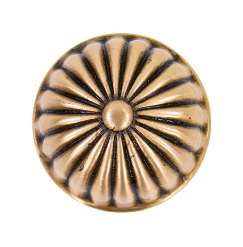 19th century dome-shaped radially fluted antique american passage size cast brass doorknob with centrally located button