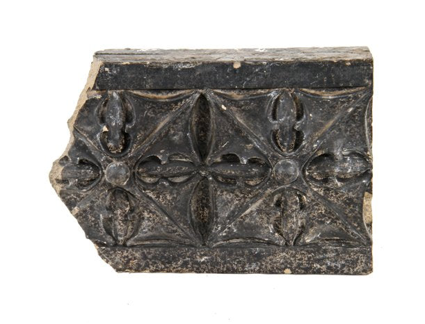 strongly organic early 20th century american exterior michael reese hospital "gardenesque" terra cotta stringer course fragment