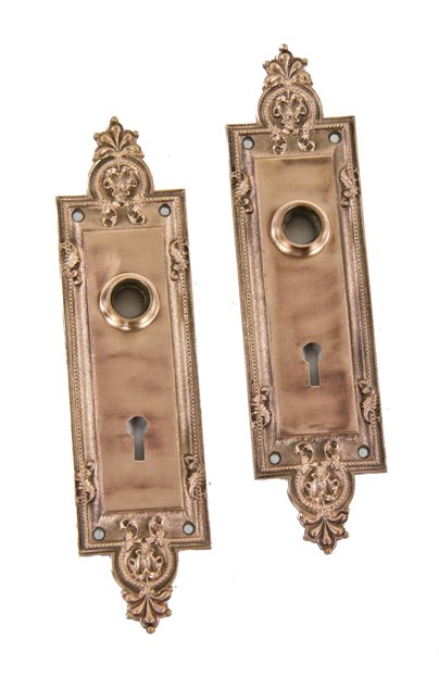 matching pair of original early 20th century american antique ornamental cast bronze "gerberoy" pattern residential doorknob backplates