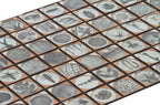 massive lot of original american early 20th century "magic lantern" projector glass slides depicting microscopic biological specimens