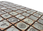 massive lot of original american early 20th century "magic lantern" projector glass slides depicting microscopic biological specimens