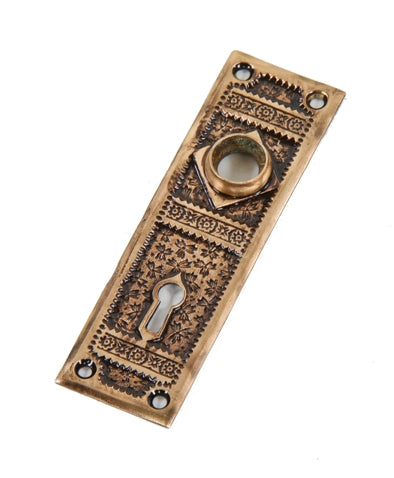 single c. 1880's american eastlake style interior residential "ivy" pattern ornamental cast brass passage door backplate