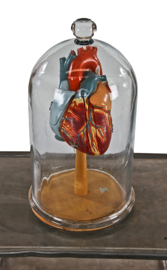 rare late 19th century oversized antique american medical clear glass specimen bell jar with intact ball or knob handle