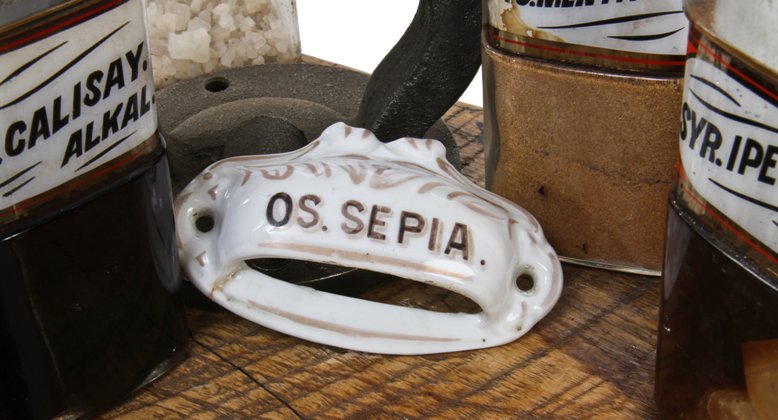 rare late 19th century antique american flush mount white glazed porcelain "os. sepia." apothecary cabinet druggist drawer pull with gold leaf lettering