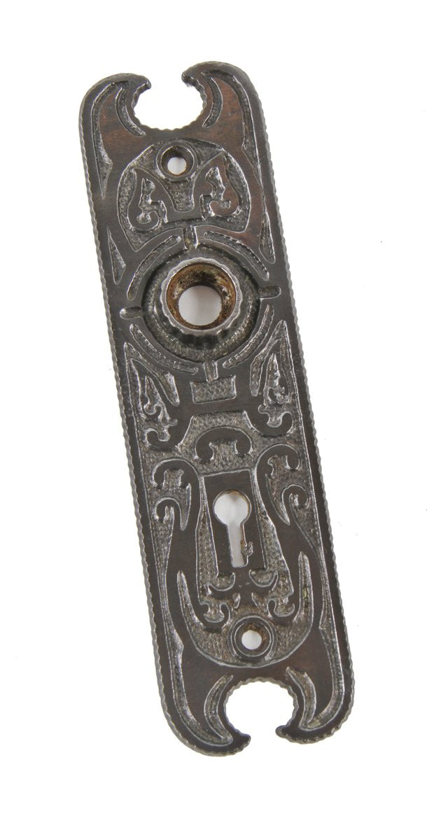 refinished early 20th century ornamental cast iron interior residential doorknob backplate with abstract floral motifs