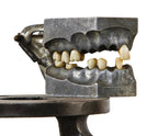 c. 1930's american antique medical cast aluminum dental training school "dentoform" sagittal model with detachable life-like porcelain veneers and/or teeth