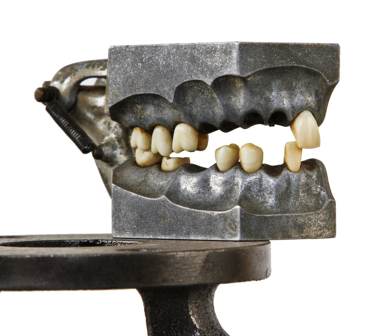 c. 1930's american antique medical cast aluminum dental training school "dentoform" sagittal model with detachable life-like porcelain veneers and/or teeth