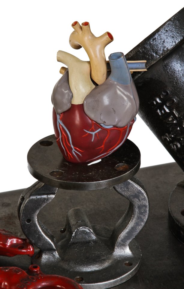 late 1950's original and intact american vintage medical molded plastic human anatomical demonstration model heart