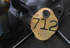 early 20th century antique american solid bronze metal double-sided light incised ywca hotel oversized door key fob