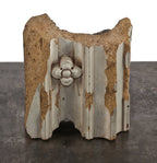 charles atwood-designed original late 19th century reliance building glazed terra cotta "curtain wall" fragment