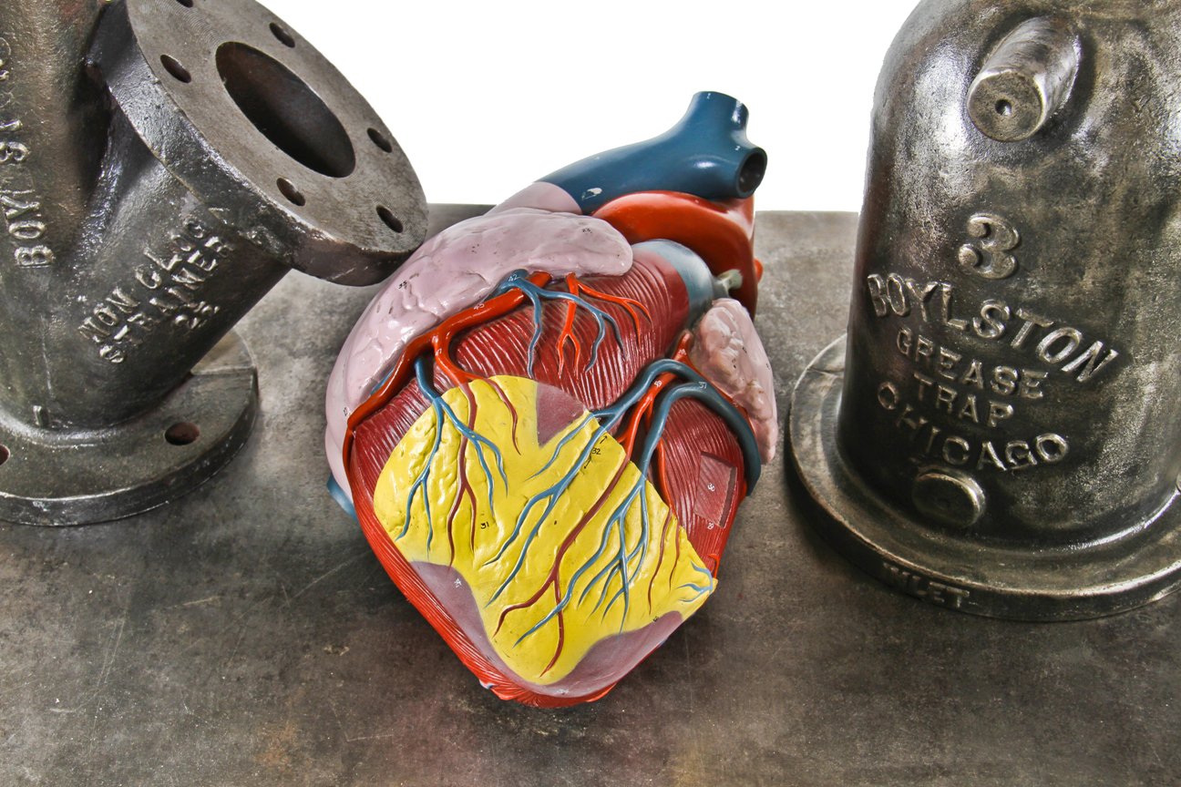 unusual oversized highly detailed and brightly colored c. 1940's american medical anatomical human heart model with hand-painted numbers