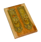 original early 20th century lightly polished city of chicago city hall interior office door cast brass emblematic backplates with matching doorknobs