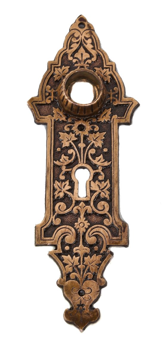 original and intact 19th century antique american victorian era residential exterior or vestibule door cast bronze backplate with highly detailed allover leafage
