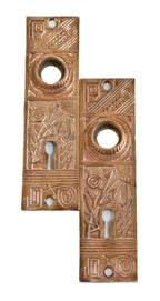 original late 19th century matching ornamental cast bronze antique american interior residential doorknob backplates or escutcheons with organic design motifs