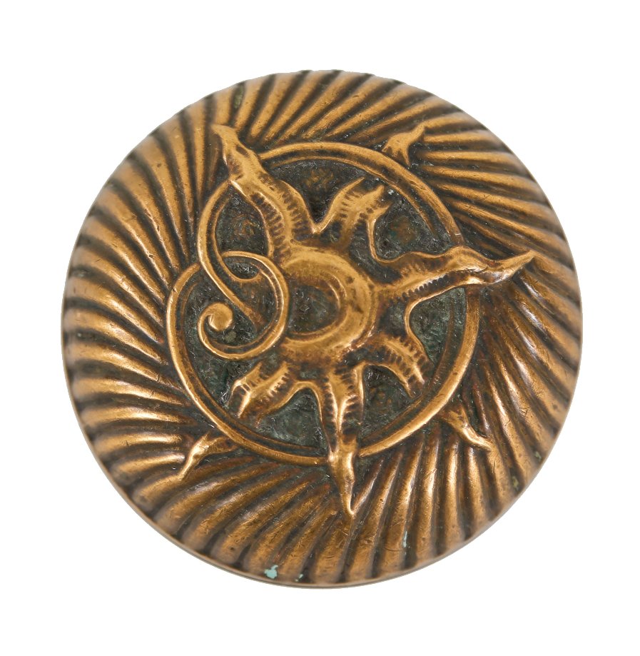 original late 19th century american art nouveau style ornamental cast bronze "starfish" pattern banded rim doorknob with a surrounding swirl design motif