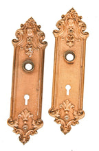 original turn of the century antique american ornamental cast iron "pasco" pattern copper-plated interior residential doorknob backplates with wrought steel thimbles