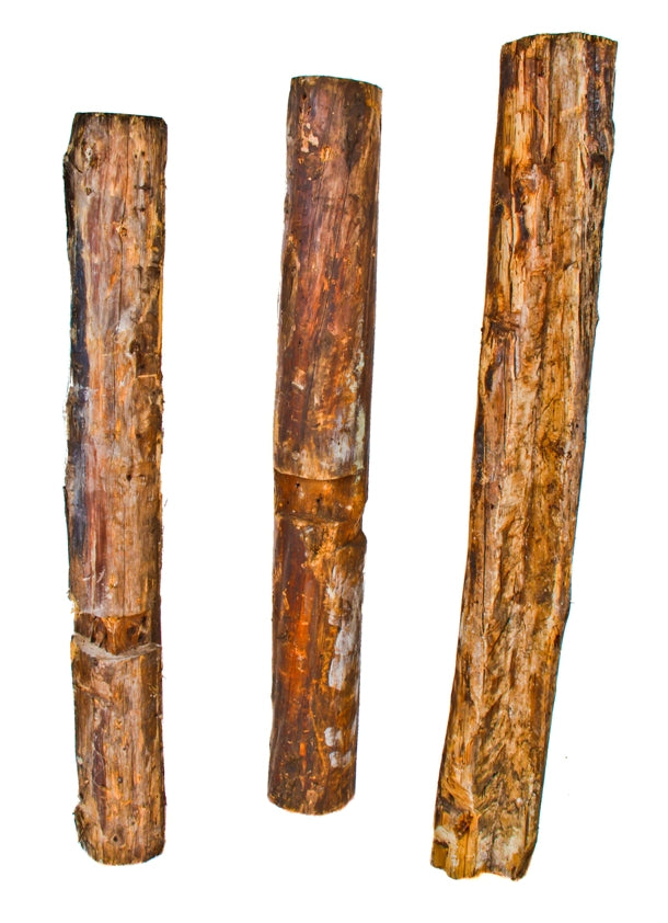 group of three very unusual 19th century solid pine wood hand hewn residential structural foundation posts or pillings with notched sections