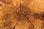 single shortened 19th century chicago balloon frame american industrial solid pine wood residential foundation post or piling repurposed into a freestanding display stand