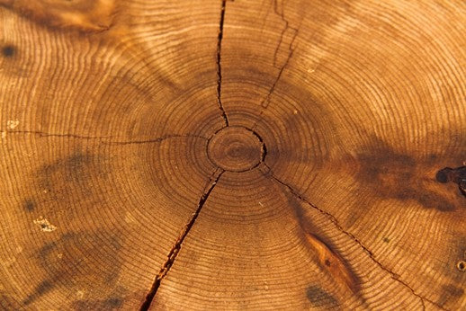 single shortened 19th century chicago balloon frame american industrial solid pine wood residential foundation post or piling repurposed into a freestanding display stand