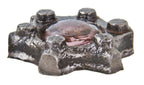 thoroughly cleaned and refinished antique american industrial brown brothers chicago sidewalk diminutive repurposed vault lens paperweight fragment