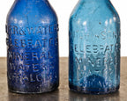 selection of mid-19th century soda, water, and/or ale glass bottles recovered from the chicago riverbed off the shore of wolf point in downtown chicago
