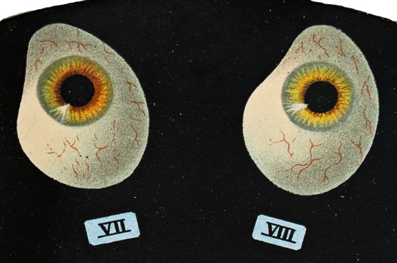 all original early 20th century very unique antique american medical optometrist's practitioner-patient die cut eye color chart or wheel with matching sleeve