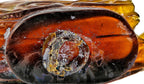 hard to find antique c. 1850's fragment of a decorative glass golden amber scroll flask dug from a chicago privy pit.