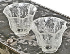 two matching early 20th century antique american late victorian era phoenix acid etched glass shades for an early residential electrolier or gasolier