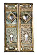 two matching "ivy" pattern antique american eastlake style interior residential cast bronze passage door backplates or escutcheons with protruding shank collars or thimbles