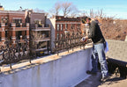 two interconnected sections of late 19th century victorian-era salvaged chicago residential roofline cast iron cresting or widows walk
