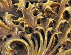 rare and seldom found all original museum quality late 19th century richly ornamented louis sullivan-designed chicago stock exchange interior trading room monogrammed cast plaster panel