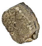 original c. 1929 historically important american art deco style cast concrete chicago stadium exterior frieze panel head fragment