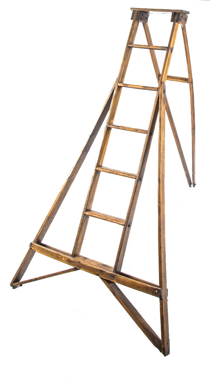 original early 20th century fully adjustable antique american industrial refinished pine wood oversized apple ladder with outswept legs or rails and uniform sanded and stained finish