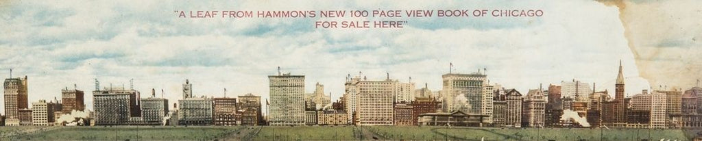 very rare early 20th century framed lithographic print depicting a panoramic view of notable chicago buildings along the historic michigan avenue district