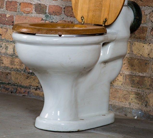 original and functional early 20th century antique american salvaged chicago glazed vitreous porcelain "corsyn" lavatory toilet with oak wood seat