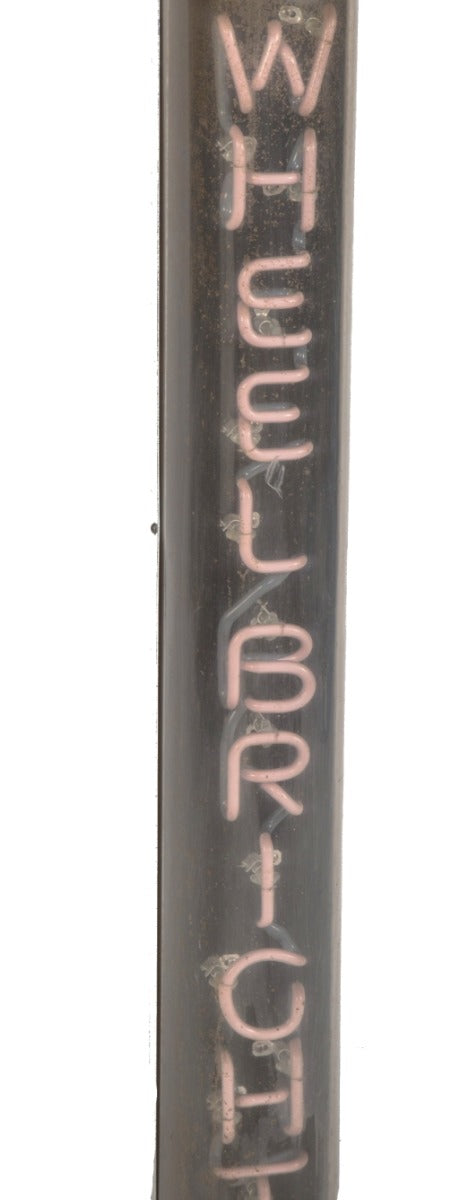 original vintage salvaged chicago star car wash wall-mount "wheel bright" neon sign with cylindrical cover