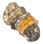 rare original great chicago fire of 1871 "souvenir" consisting of several fused china teacups from the "burnt district"