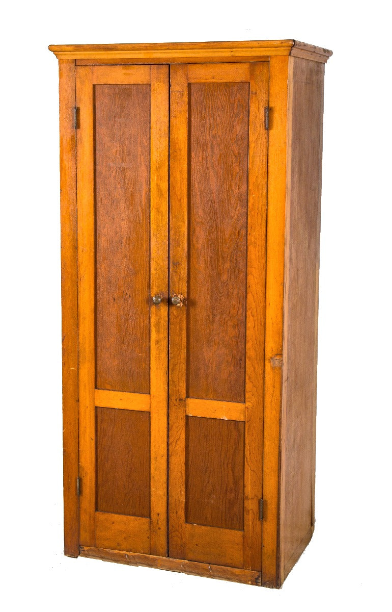 clean and well-maintained early 20th century university of michigan varnished wood two-door laboratory cabinet