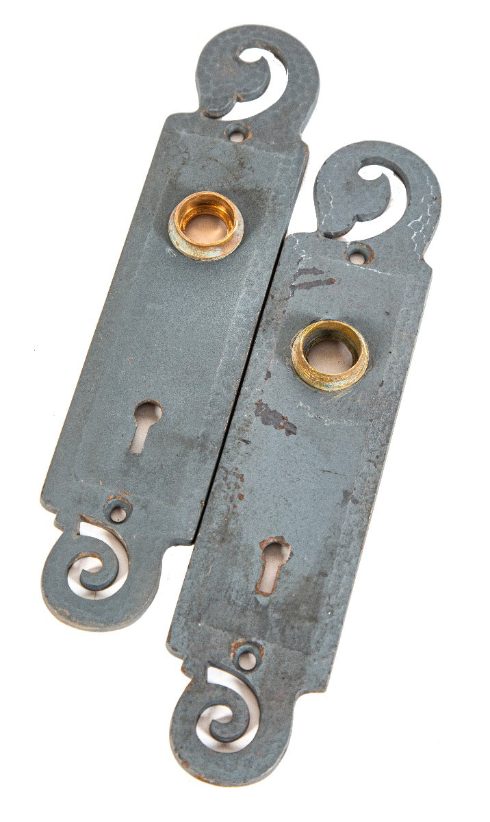 two matching 19th century salvaged chicago rookery building cast iron door plates with bower-barff finish