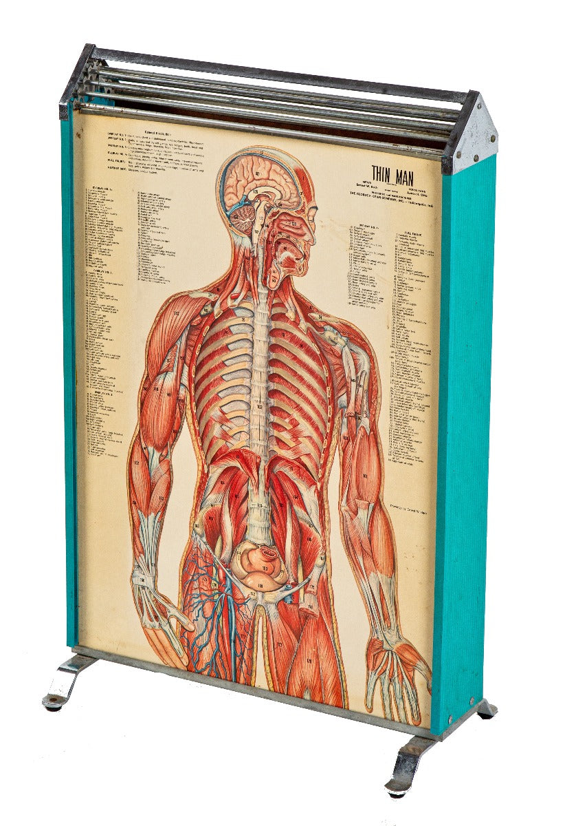 hard to find original 1962 salvaged chicago sequential "thin man" freestanding double-sided medical poster designed by ernest w. beck