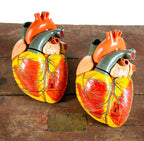 hard to find denoyer-geppert oversized hand-painted 1950s anatomical heart model from a chicago public school