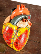 hard to find denoyer-geppert oversized hand-painted 1950s anatomical heart model from a chicago public school