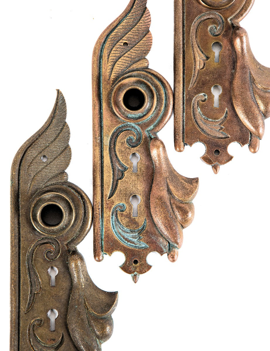 remarkable 19th century art nouveau style ornamental cast bronze salvaged chicago entrance door backplates