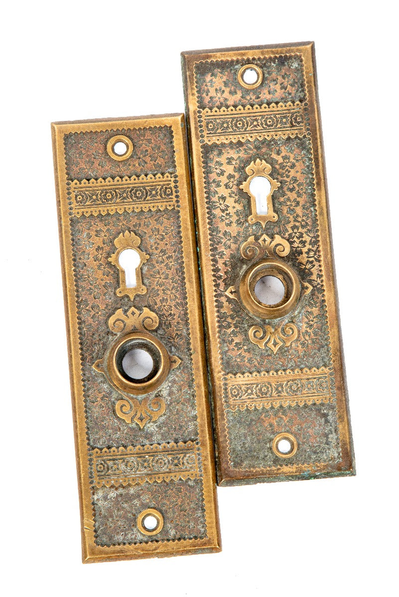 two matching unusually configured 19th century american eastlake "ivy" pattern cast bronze residential doorknob backplates