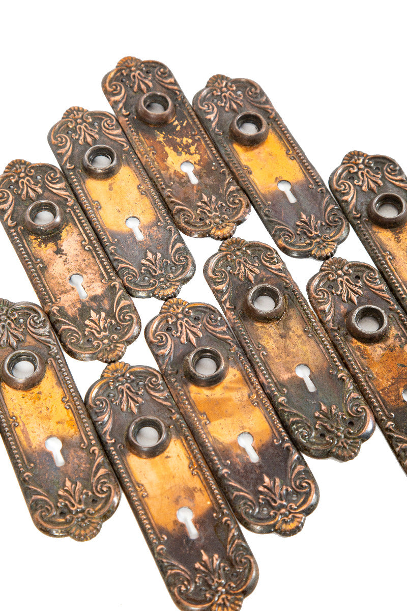 large lot of matching early 20th century salvaged milwaukee copper-plated stamped steel doorknob backplates