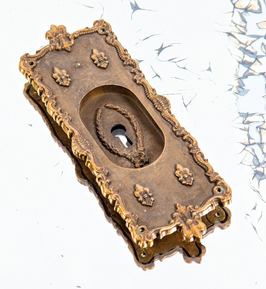 single 19th century or early 20th century heavily ornamented cast bronze oversized "verdun" pattern residential pocket door backplate