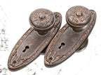 early 20th century salvaged chicago ornamental cast iron matching residential doorknobs and oval-shaped backplates